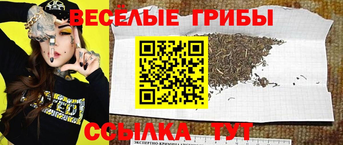 Галлюциногенные грибы Psilocybe  Псилоцибиновые грибы Psilocybe  Вход с VPN  Новоуральск 