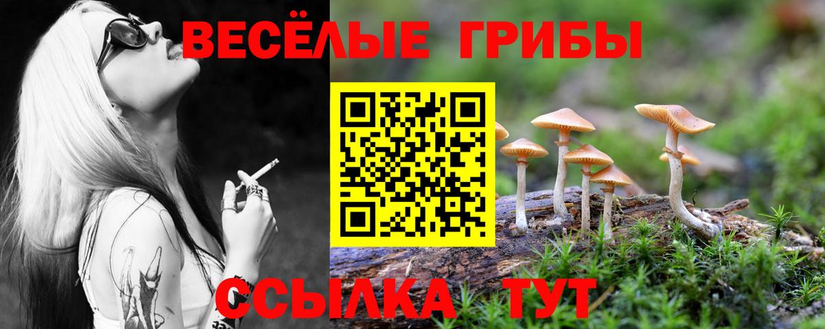 Гашиш  Новоуральск  Кокаин  MDMA  Купить наркотики цена  ГАШ  Вход с VPN  ЭКСТАЗИ  Меф кристаллы  Меф МЯУ МЯУ 
