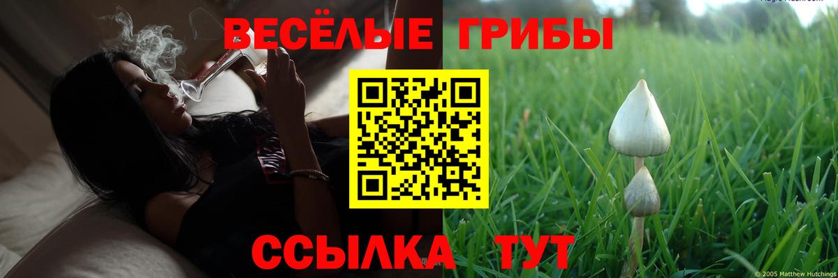 Галлюциногенные грибы ЛСД Новоуральск